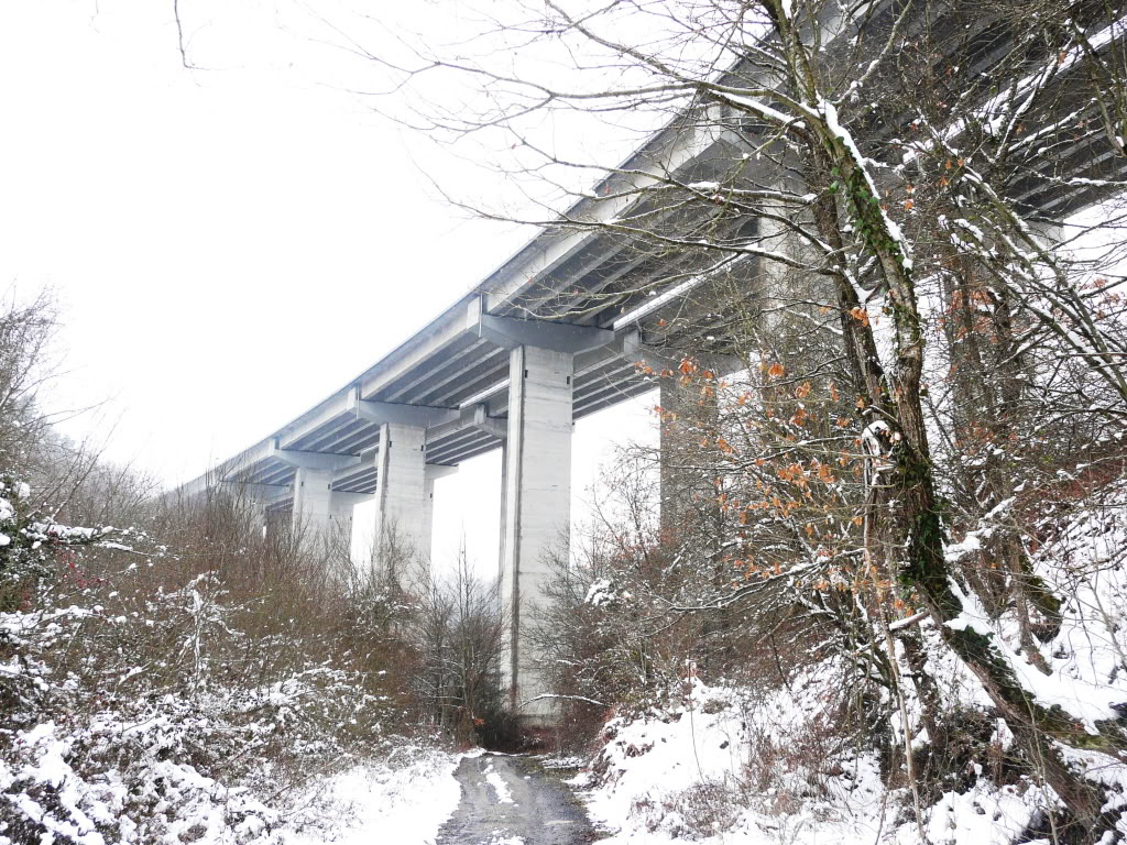 P1030080.jpg