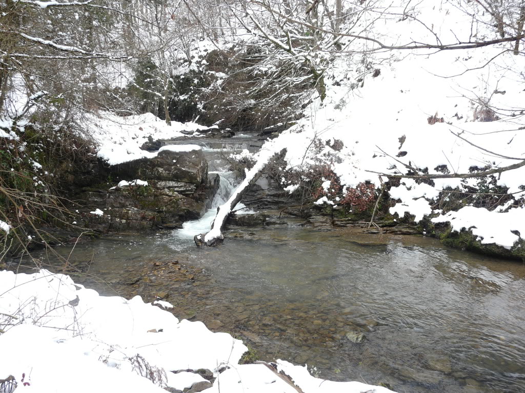 P1030100.jpg