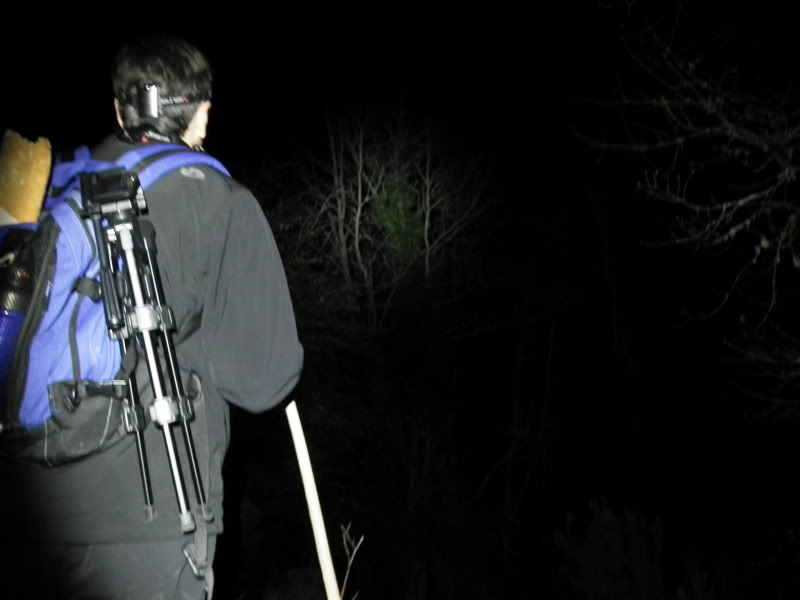 BosquedeAltube058.jpg