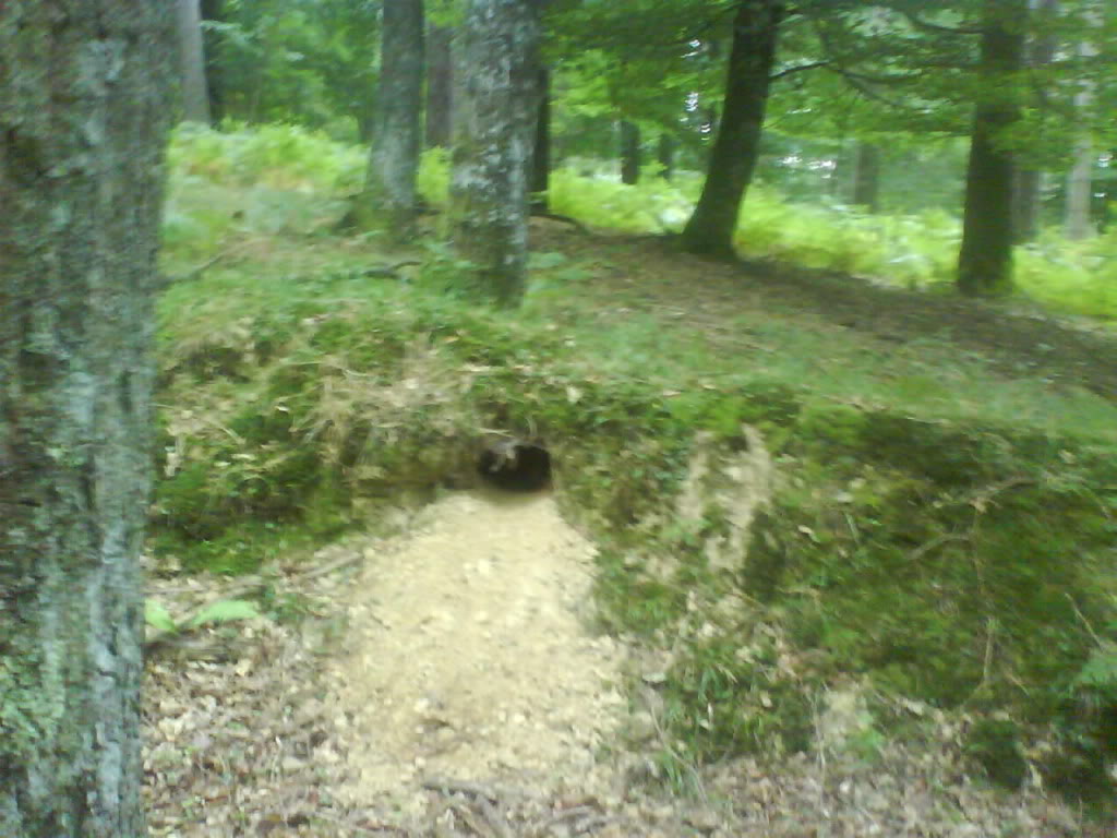 DSC00284.jpg