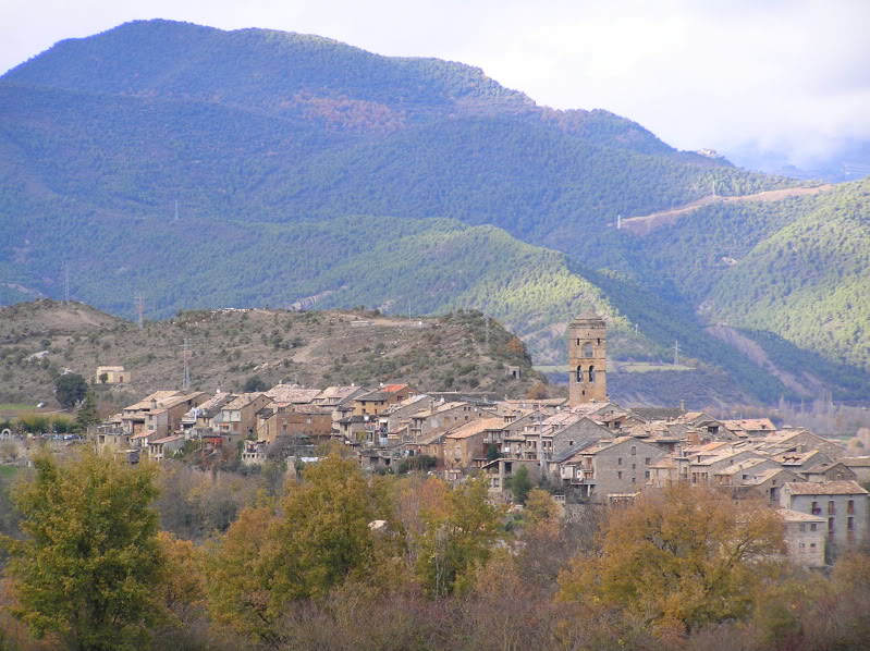 P4300044.jpg