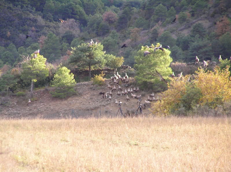 P4300075.jpg