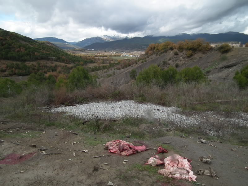 QuebrantahuesosII036.jpg
