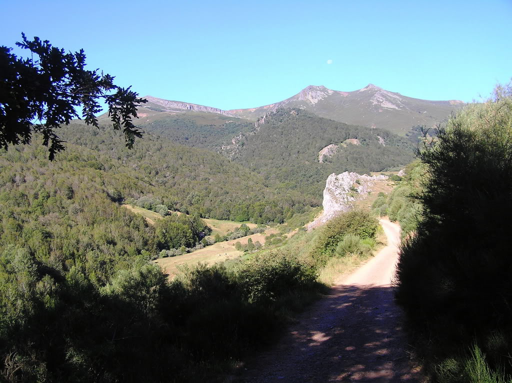 P1230007.jpg