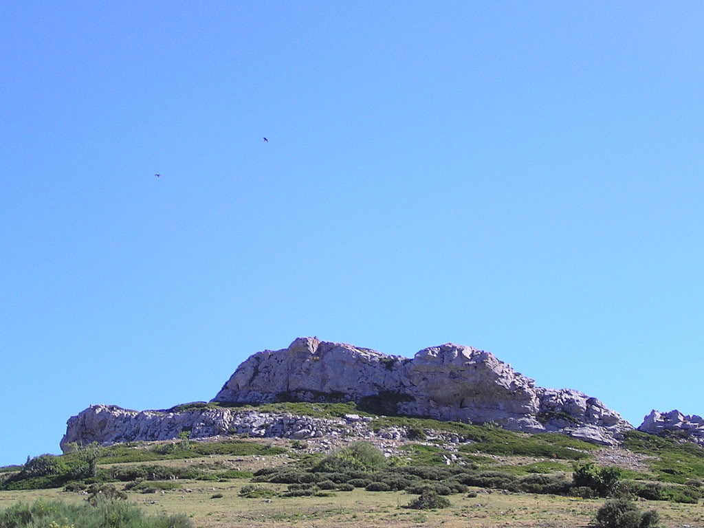 P1230015.jpg