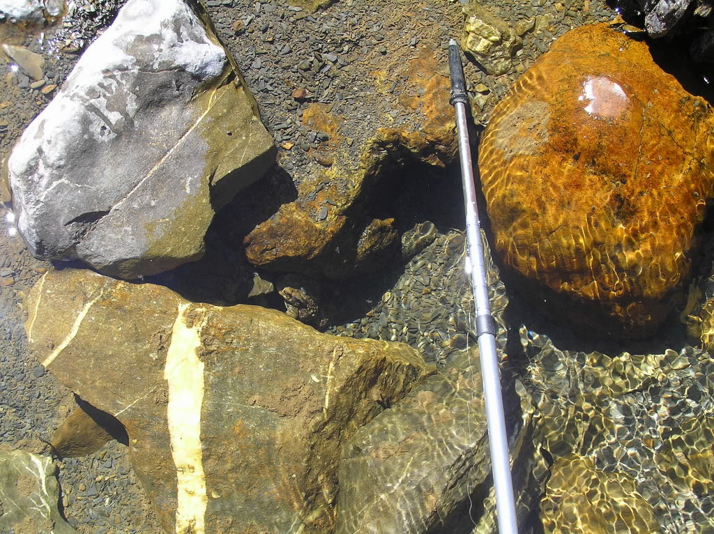 P1230039.jpg