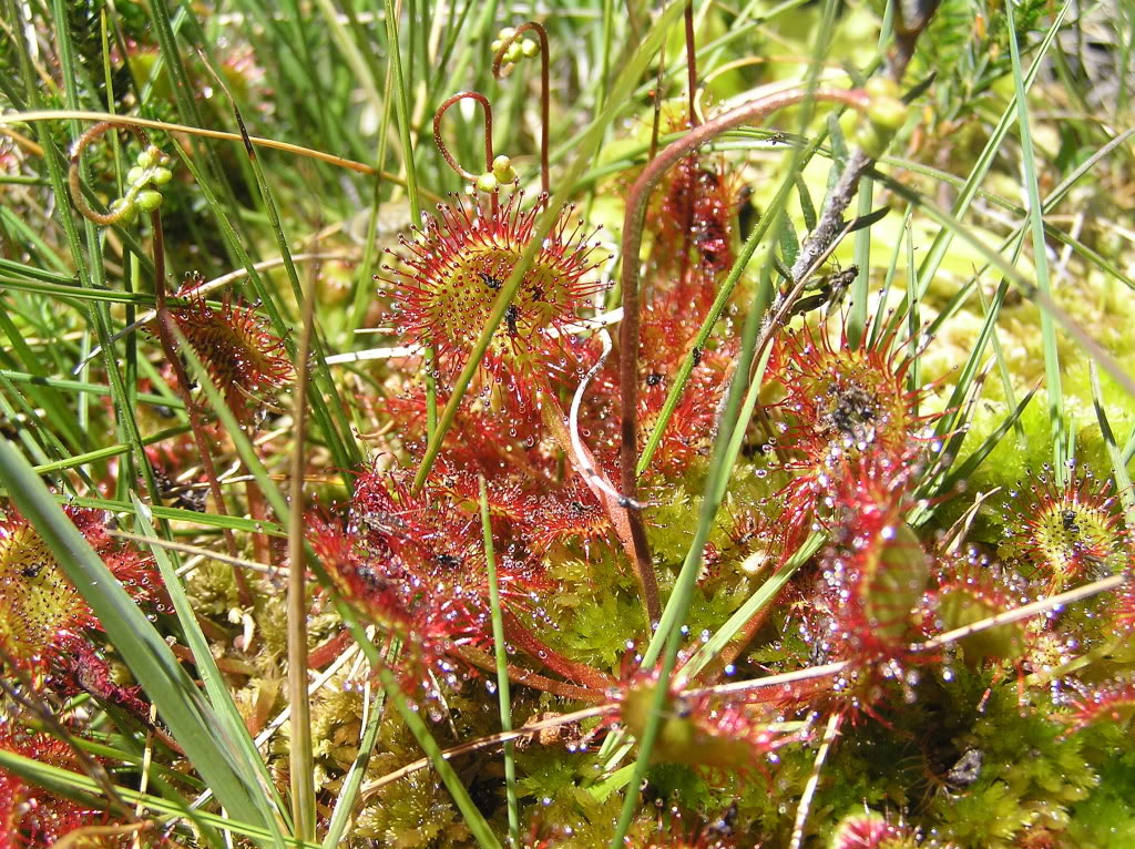 P1230043.jpg