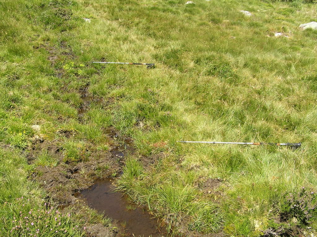 P1240049.jpg