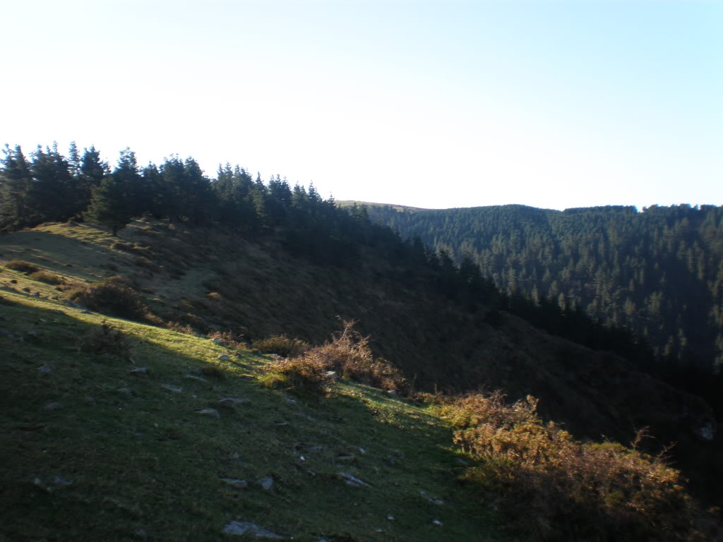 P4050010.jpg