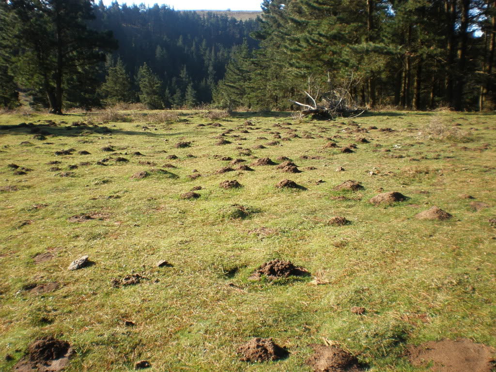 P4050013.jpg
