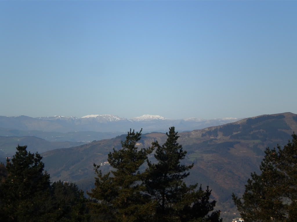 P405001412.jpg