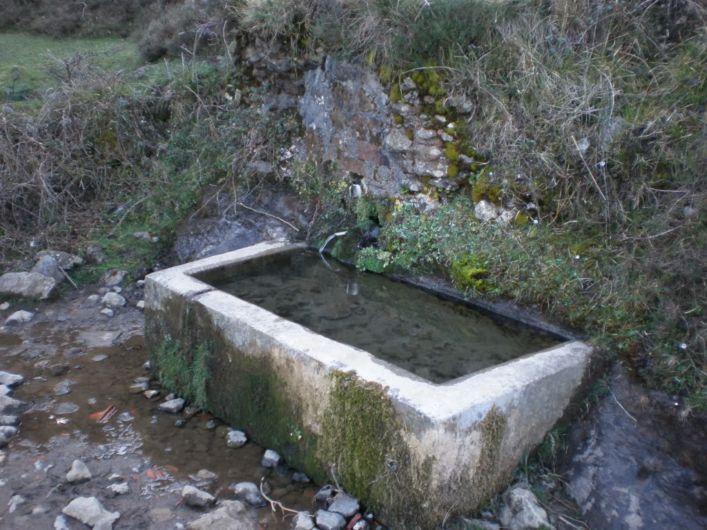 P4050016.jpg