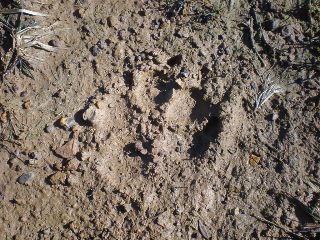 P405001812.jpg