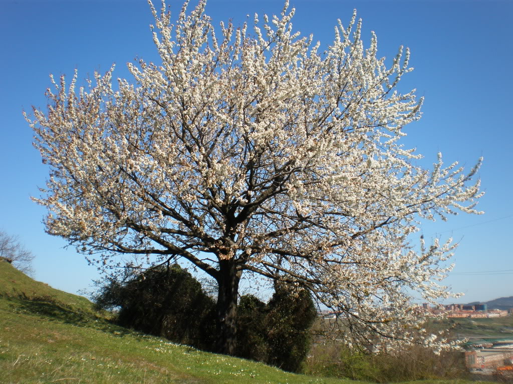 P4050034.jpg