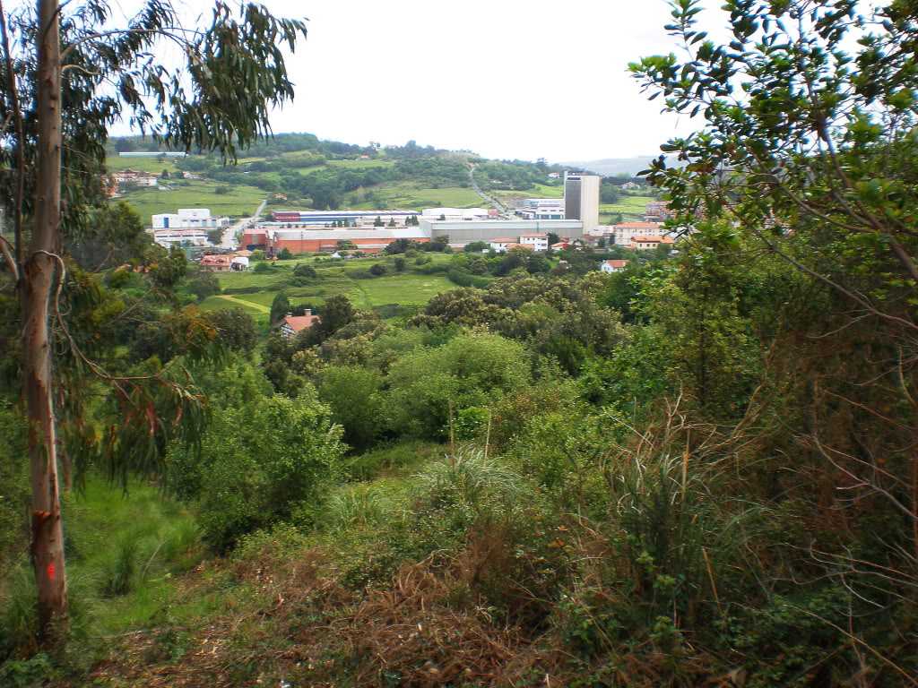 P5160024.jpg