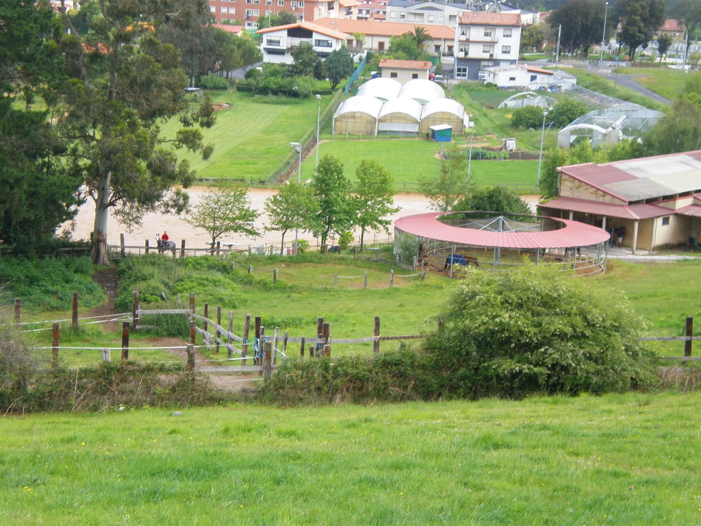 P5160031.jpg