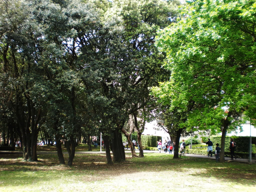P5160060.jpg
