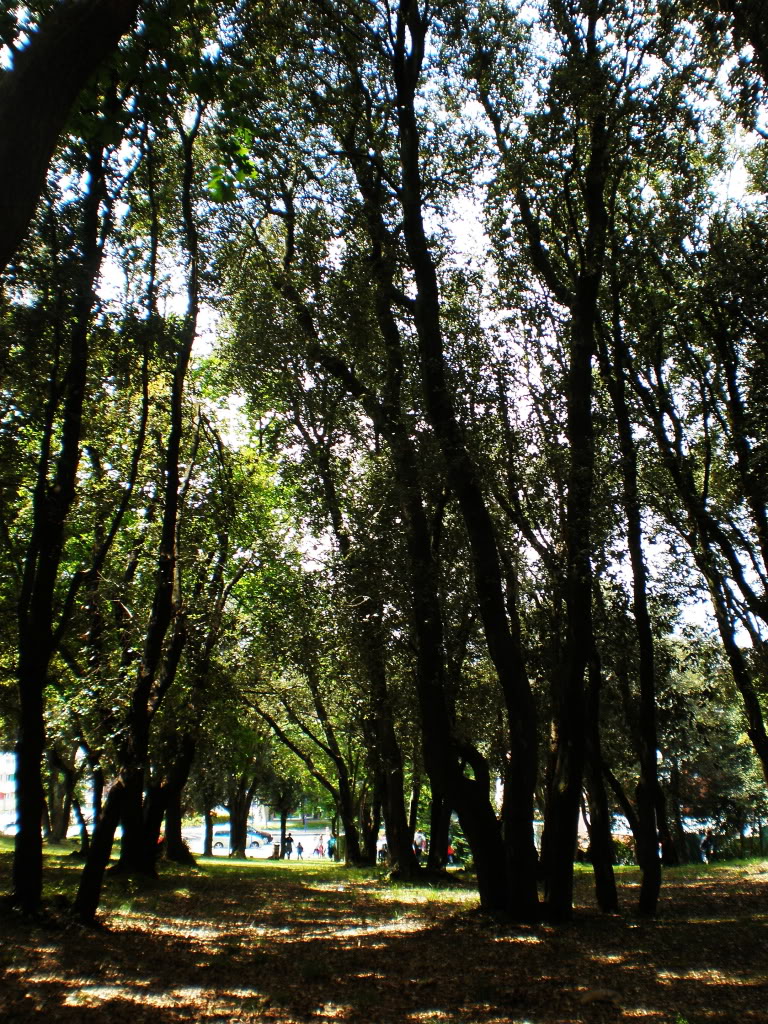 P5160061.jpg