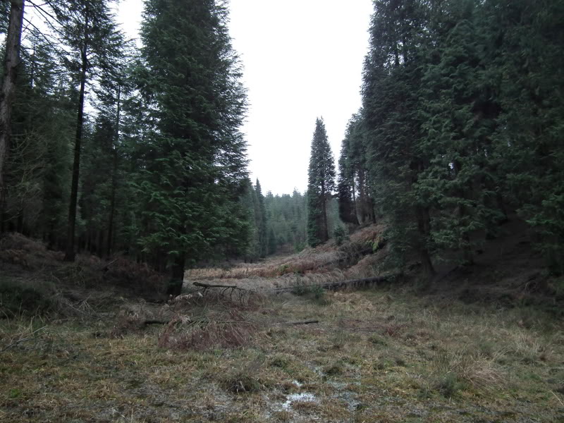 PicoLaCruz-PinznBarazar176.jpg