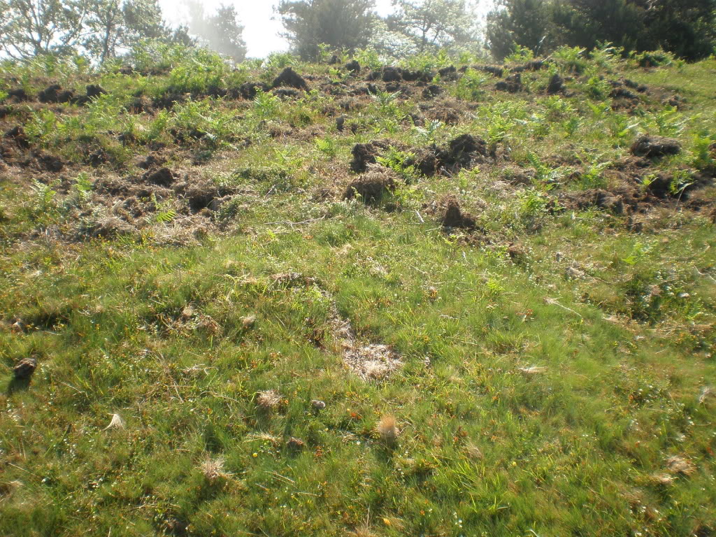 P6050011.jpg