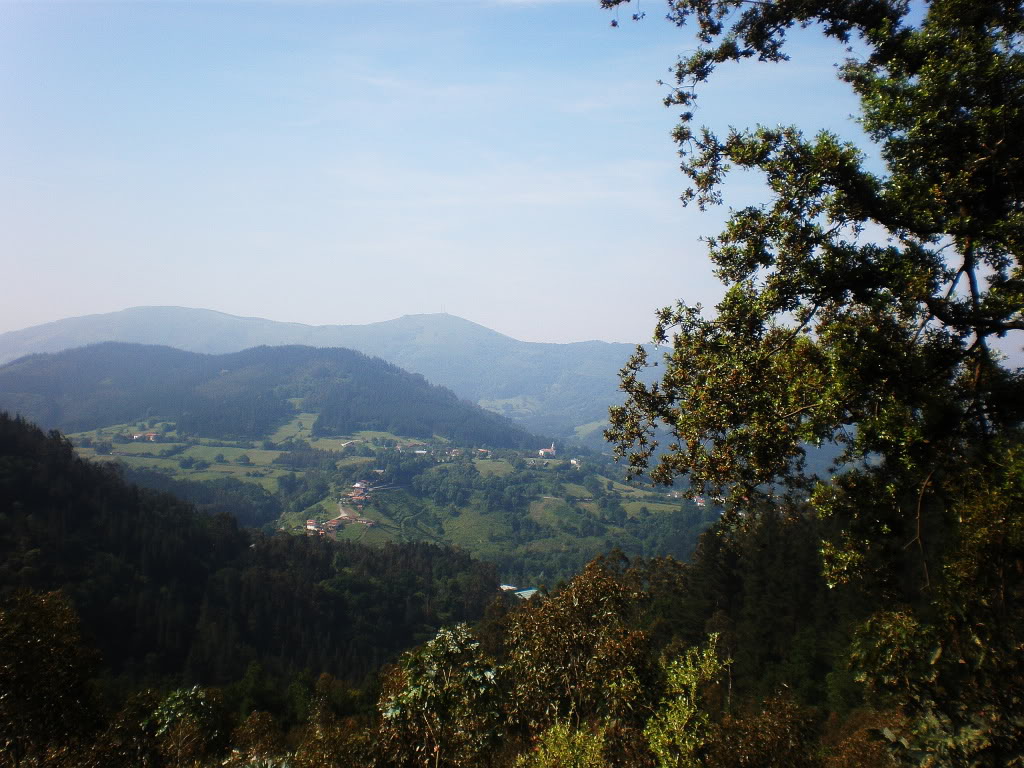 P6050033.jpg