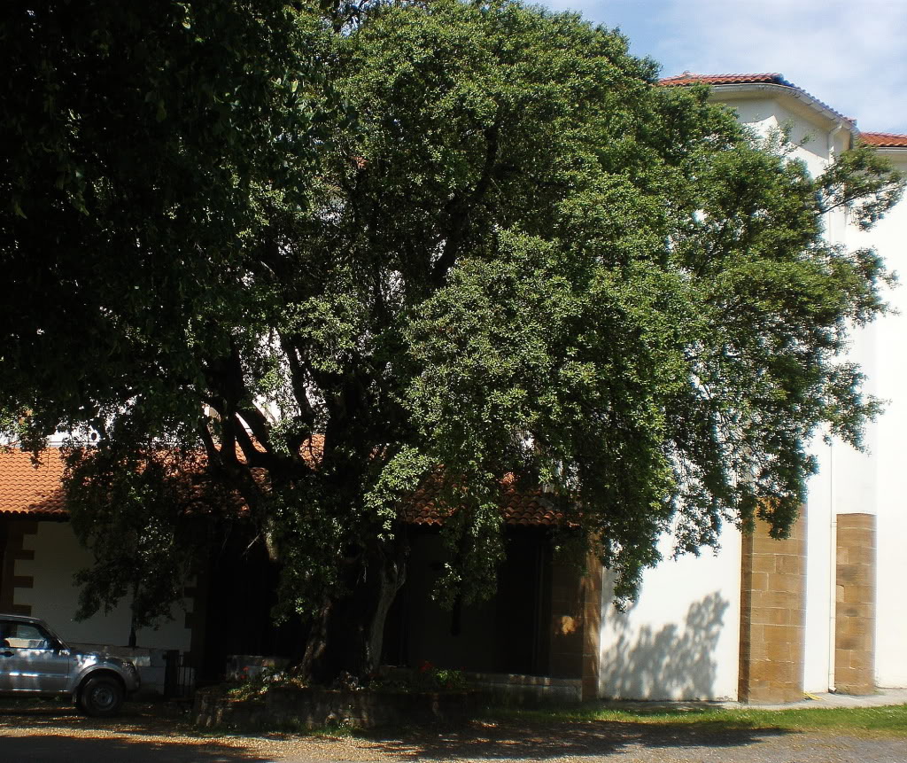 P6050045.jpg