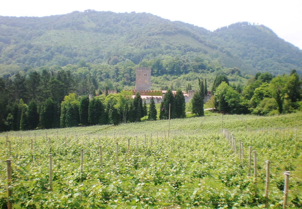 P6050047.jpg