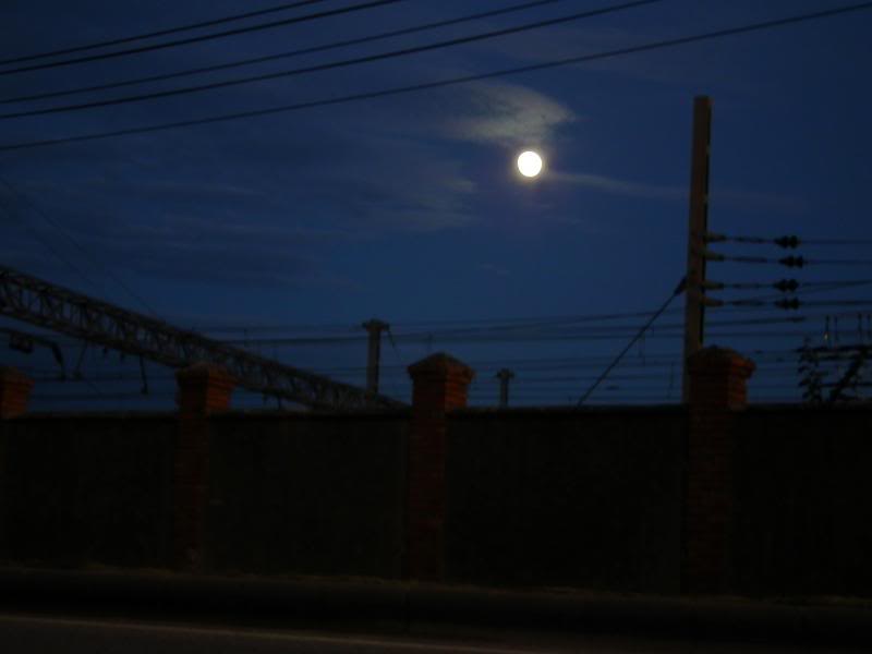 photo Luna-okariz086_zps00b277ab.jpg
