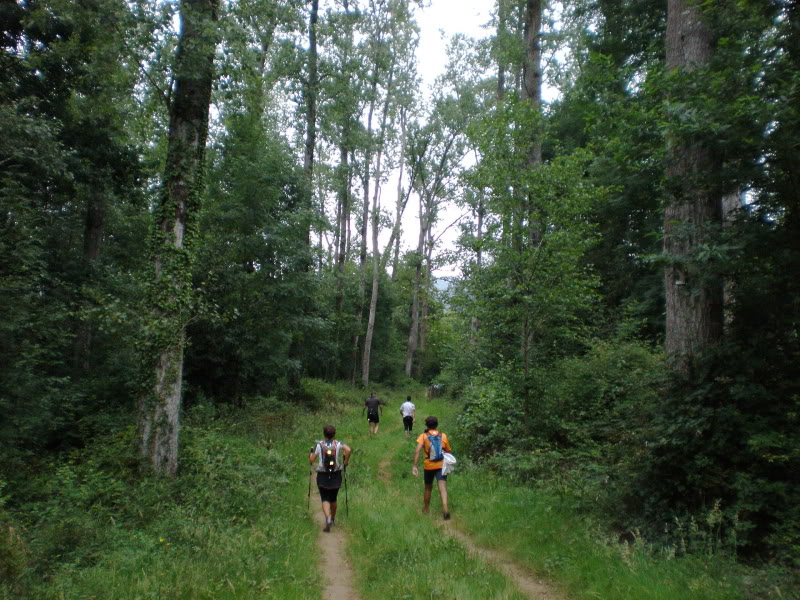 P7170003.jpg