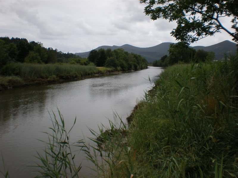 P7170041.jpg