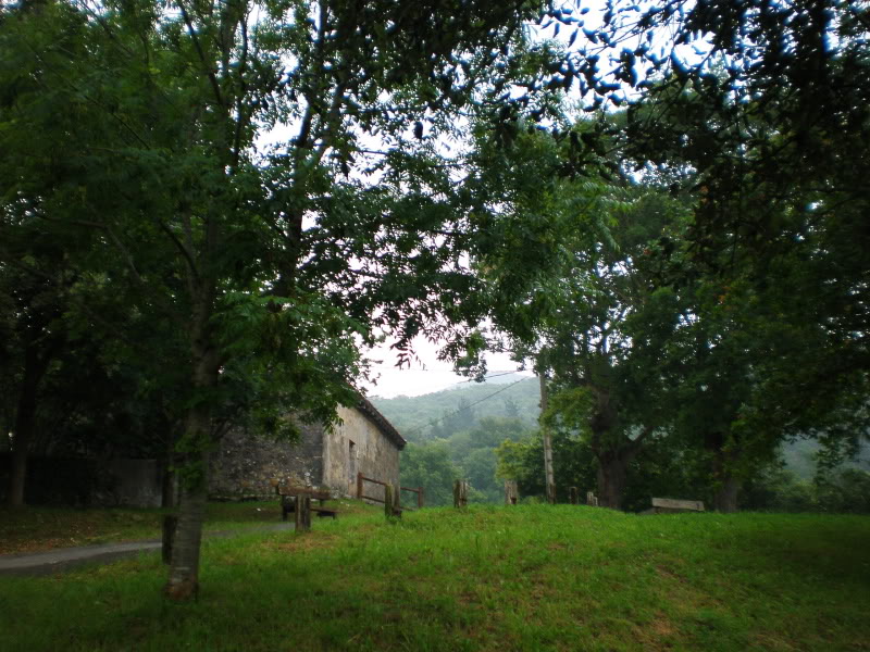 P6270024.jpg
