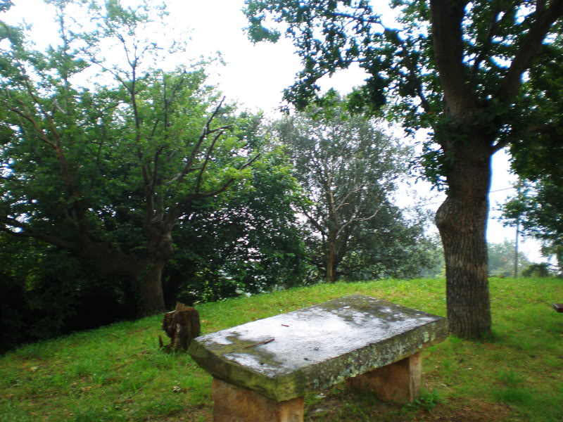 P6270025.jpg