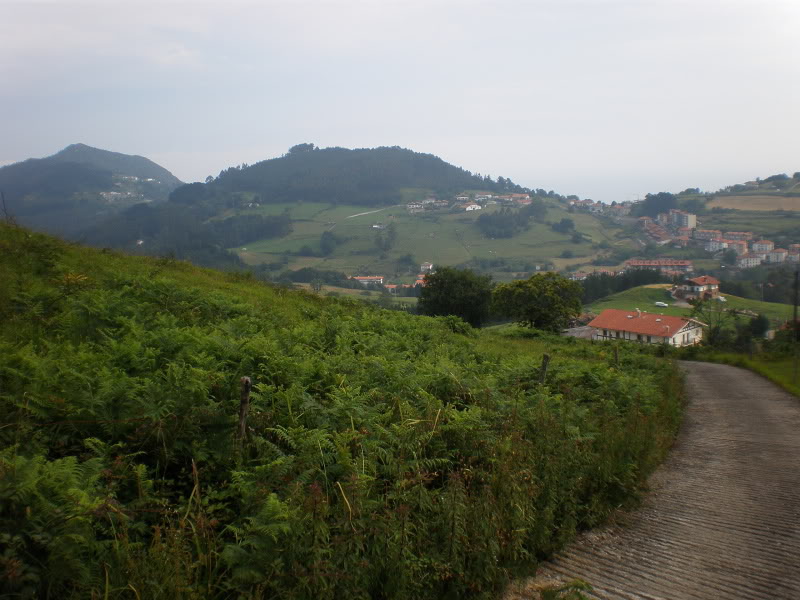 P6270074.jpg