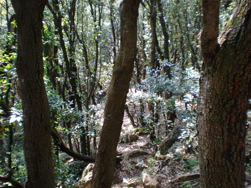 P6270101.jpg