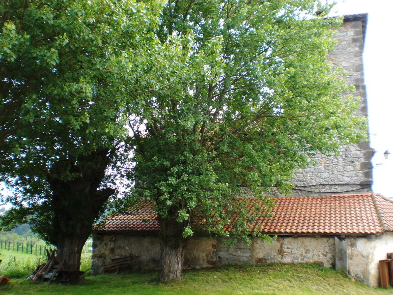 P6270121.jpg