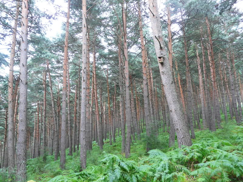 P1030315.jpg