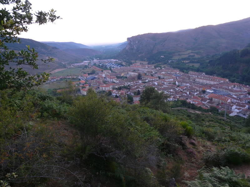 P1030335.jpg