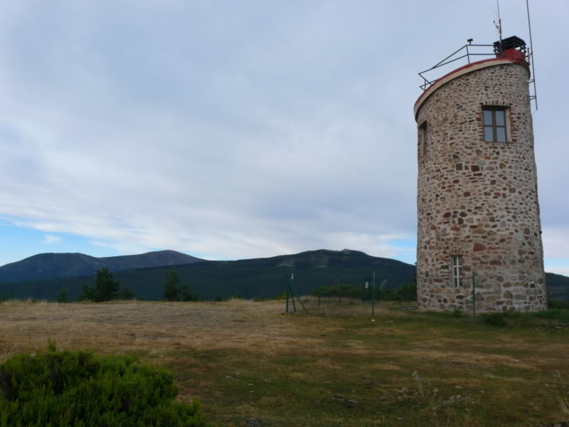 P1030357.jpg