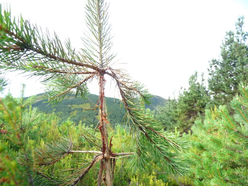 P1030374.jpg