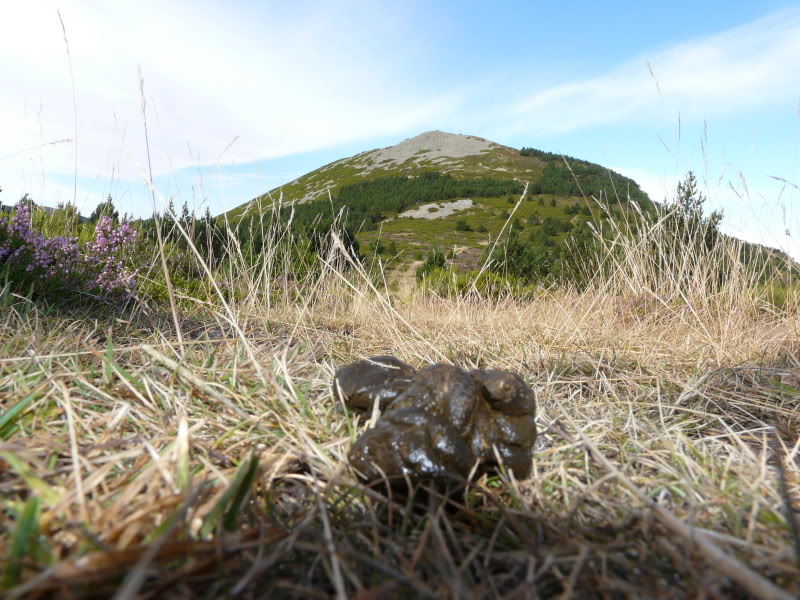 P1030383.jpg