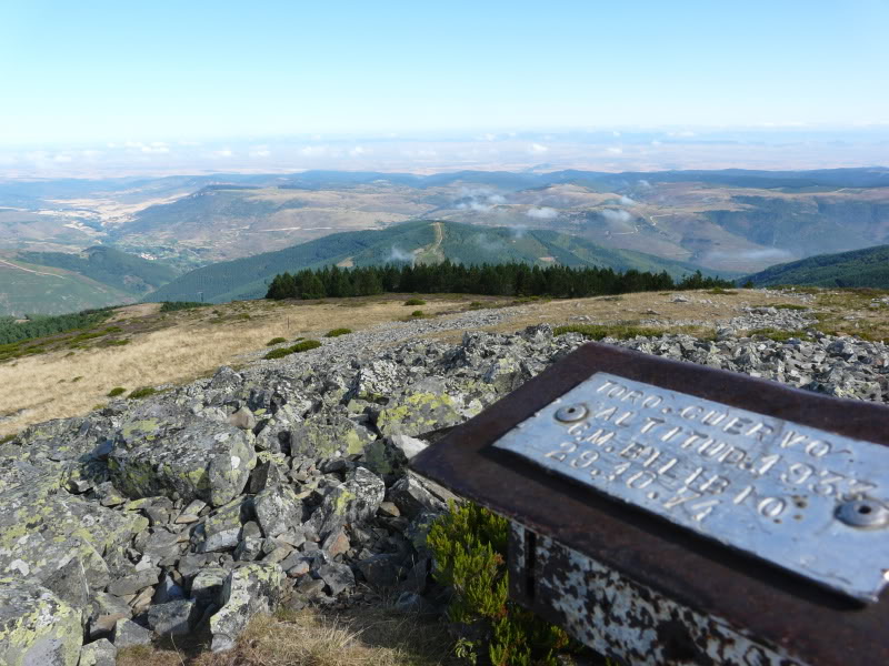 P1030384.jpg
