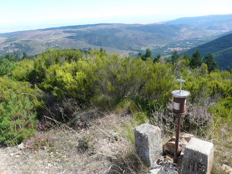 P1030399.jpg