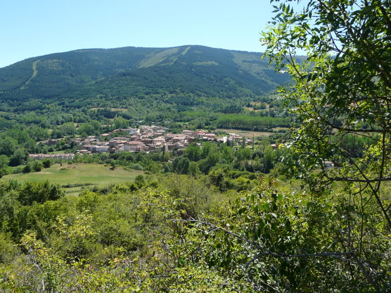 P1030423.jpg