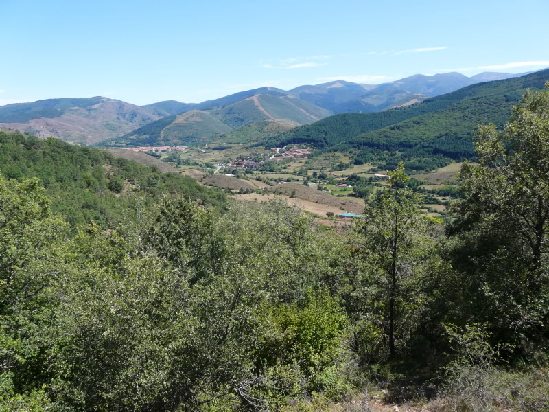 P1030427.jpg