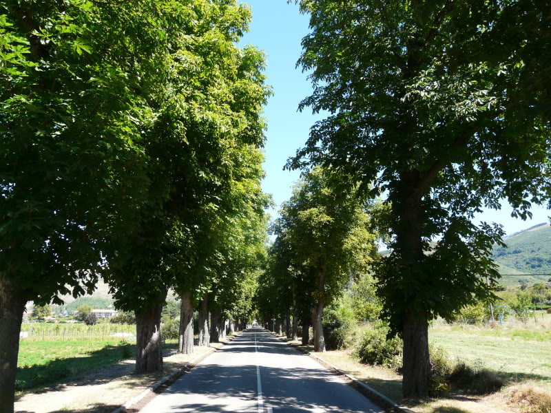 P1030430.jpg