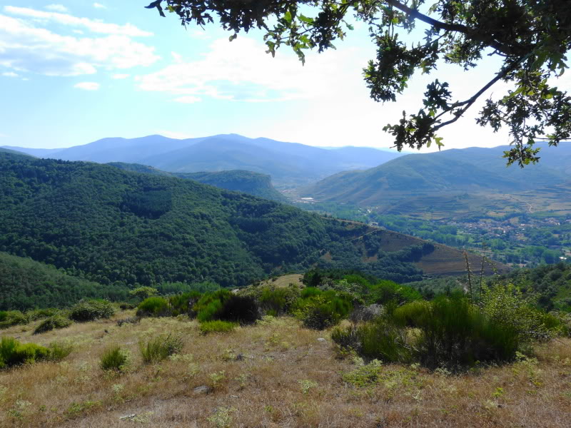 P1030434.jpg