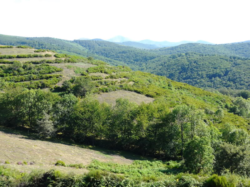 P1030436.jpg