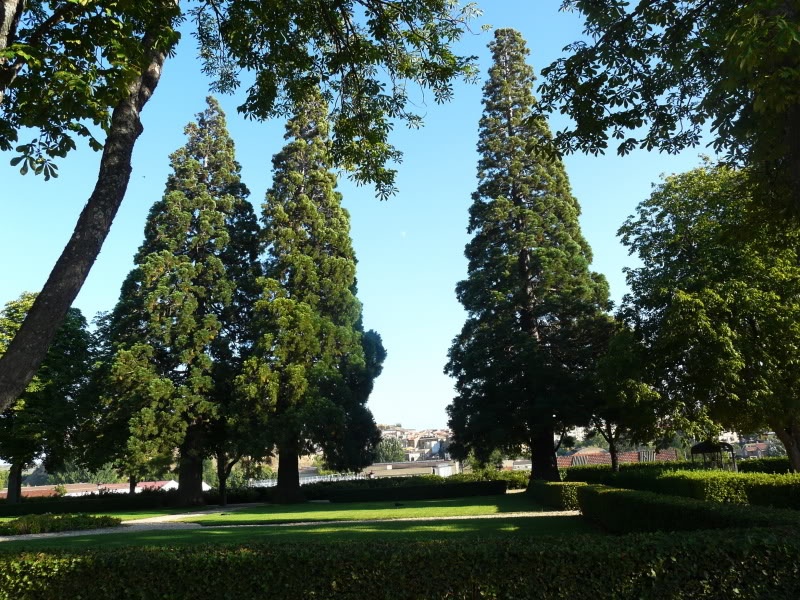 P1030448.jpg
