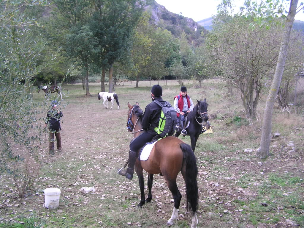 P3110007.jpg