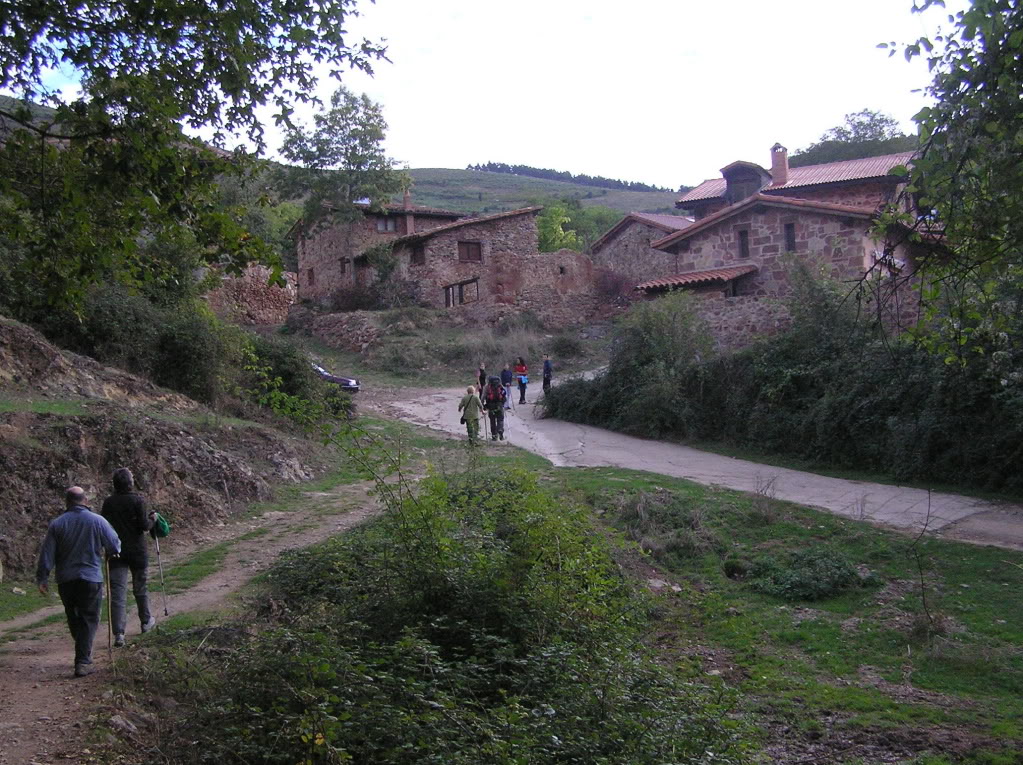 P3110027.jpg